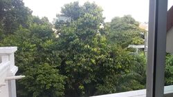 Fernhill Cottage (D10), Terrace #502322701